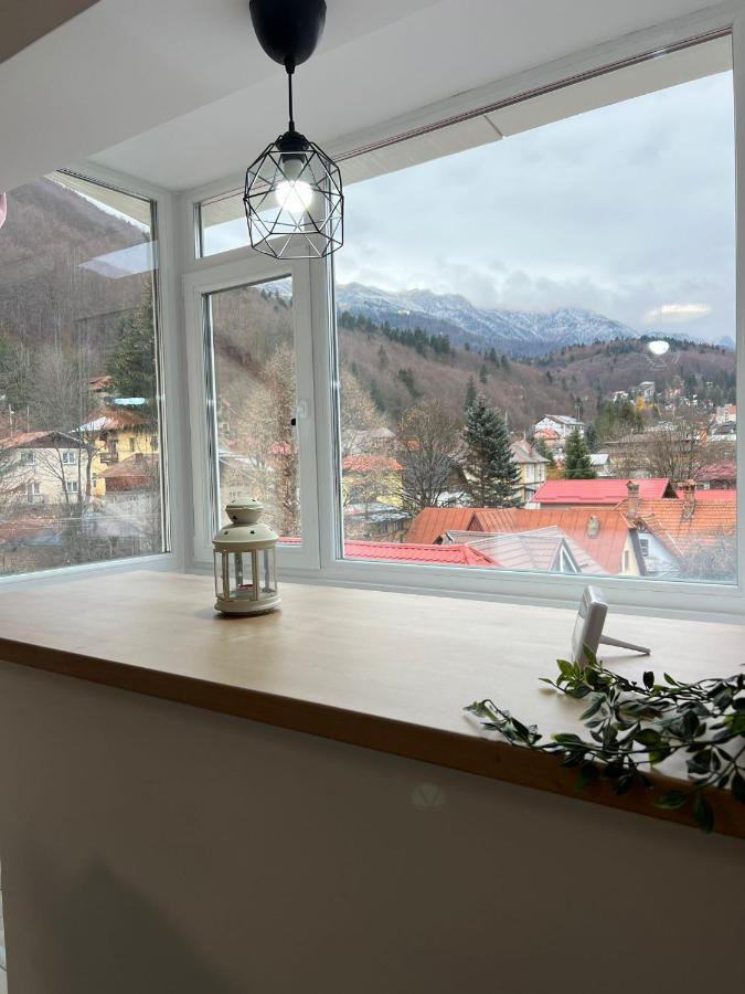 Mountain View Apartment Синая Екстериор снимка